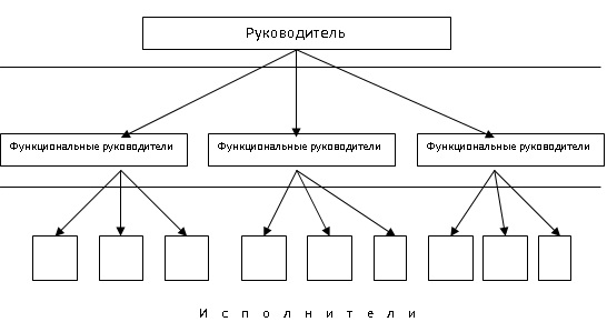 Определите тип организационной структуры по рисунку