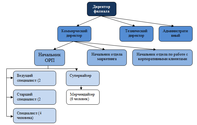 Коммерческий директор это кто. Названия отделов продаж. Оргструктура клининговой компании. Отделы в клининговой компании. Коммерческий директор структура.