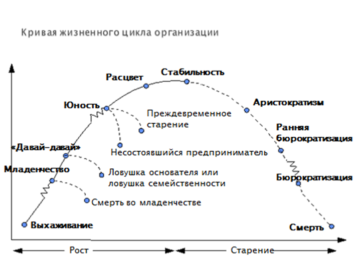 Курсовая работа по теме Концепция развития жизненного цикла организации