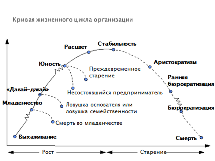 Этапы становление организации