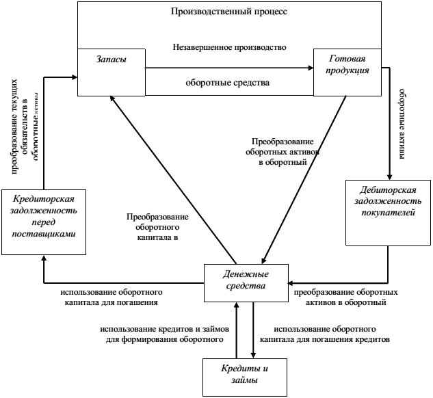 Активы организации курсовая работа. Кругооборот оборотных активов. Оборотные активы. Активы организации курсовая работа. Понятие оборотных активов.