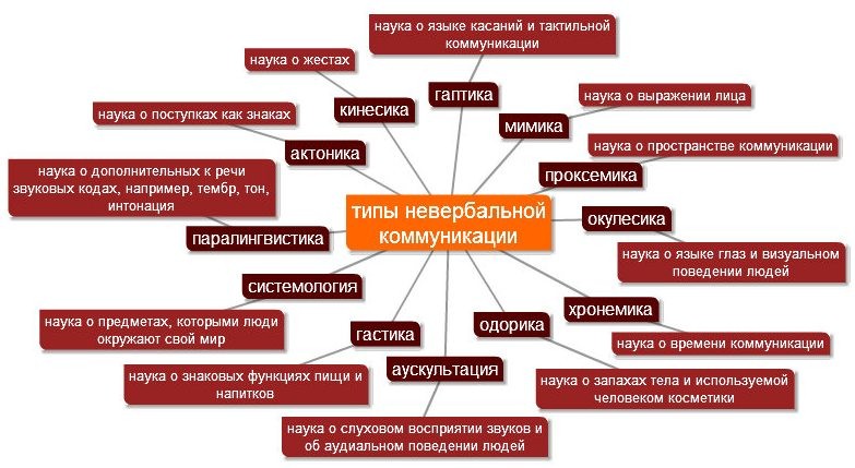 Лицевая экспрессия как средство невербального общения Лицевая экспрессия как средство невербального общения