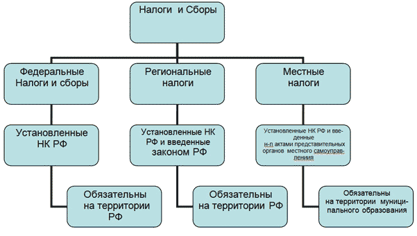 Тема налоги и налоговая система. Кластер по теме налоги. Структура налогов и сборов в РФ. Система налогов и сборов в РФ схема. Кластер налоговая система РФ.